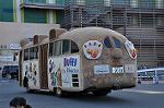 Dcim9982/DSC_8162