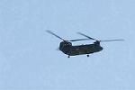 Dcim9983/DSC_2147