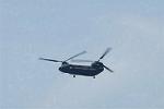 Dcim9983/DSC_2149