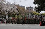 Dcim9985/DSC_8345