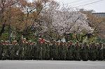 Dcim9985/DSC_8347