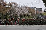 Dcim9985/DSC_8374