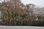 Dcim9985/DSC_8377