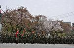 Dcim9985/DSC_8379