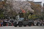 Dcim9985/DSC_8401