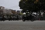 Dcim9985/DSC_8426