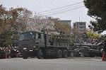 Dcim9985/DSC_8471