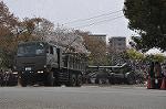 Dcim9985/DSC_8473