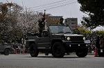 Dcim9986/DSC_8526