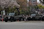 Dcim9987/DSC_8677