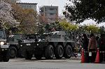 Dcim9987/DSC_8747