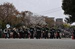 Dcim9989/DSC_8897