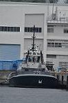 Dcim9995/DSC_9844