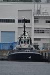 Dcim9995/DSC_9848