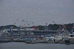 Dcim10002/DSC_0804