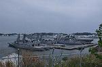 Dcim10002/DSC_0827