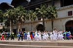 Dcim10011/DSC_2033