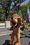 Dcim10016/DSC_2720
