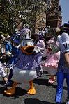 Dcim10016/DSC_2729