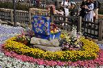 Dcim10020/DSC_3259