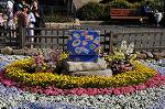 Dcim10020/DSC_3260