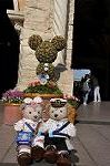 Dcim10020/DSC_3322