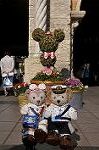 Dcim10020/DSC_3329
