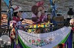 Dcim10022/DSC_3522
