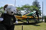 Dcim10025/DSC_3801