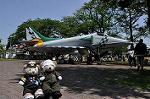 Dcim10025/DSC_3818