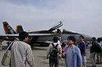 Dcim10029/DSC_4451