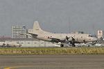 Dcim10032/DSC_4880