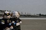 Dcim10033/DSC_4953