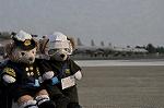 Dcim10033/DSC_4954