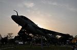Dcim10033/DSC_5037