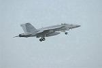 Dcim10034/DSC_2393