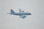 Dcim10035/DSC_2438