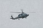 Dcim10035/DSC_2496