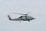 Dcim10035/DSC_2508