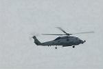 Dcim10035/DSC_2517
