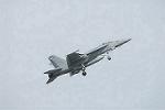 Dcim10037/DSC_2795
