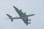 Dcim10038/DSC_2908
