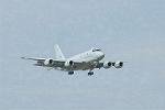 Dcim10039/DSC_3024