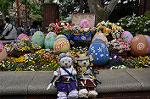 Dcim10041/DSC_5217