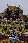 Dcim10041/DSC_5224