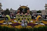 Dcim10041/DSC_5226
