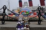 Dcim10041/DSC_5240