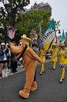Dcim10041/DSC_5246