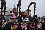 Dcim10041/DSC_5292