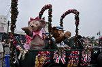 Dcim10041/DSC_5295